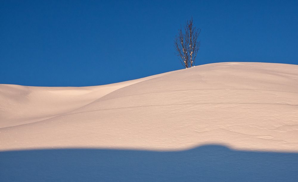 Photograph by Анна Акименко
