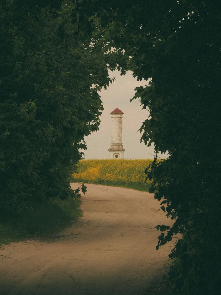 Photograph by Игорь Сухаревич