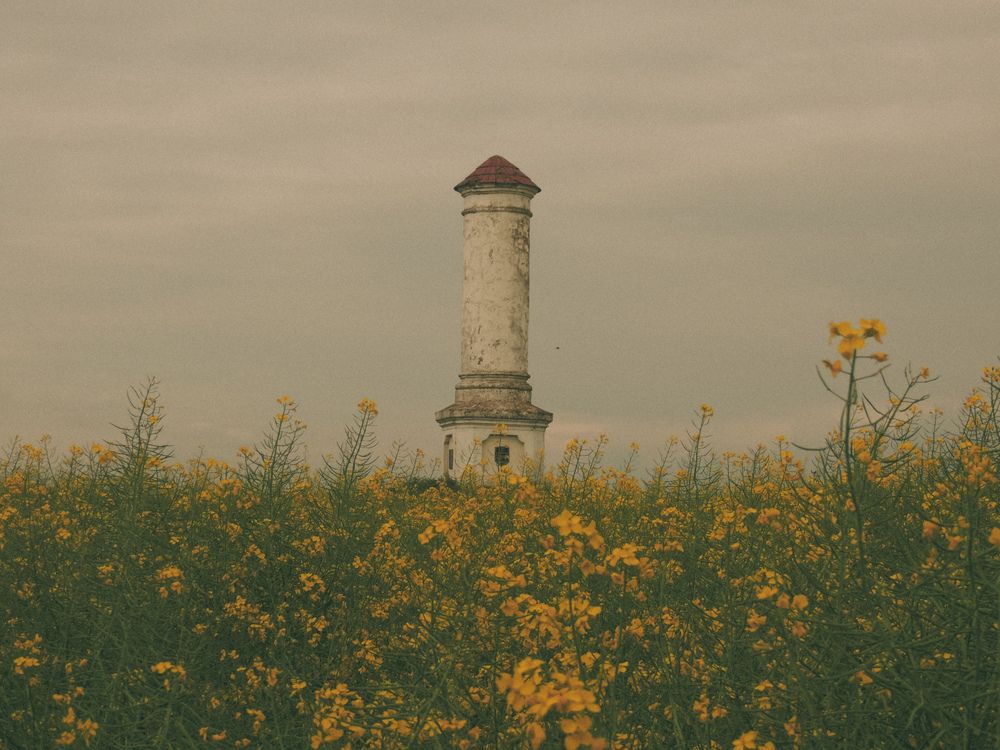 Photograph by Игорь Сухаревич