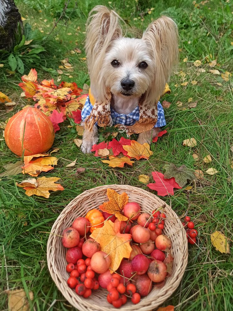 Photograph by Лолита Богачева