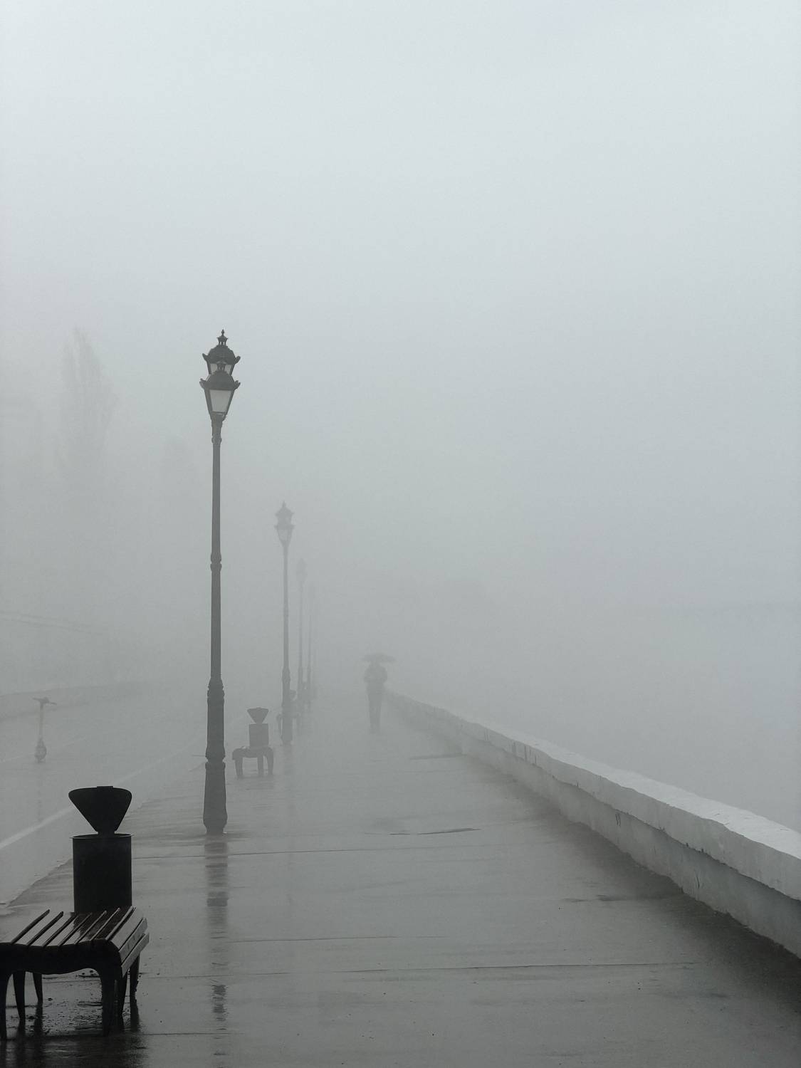 Photo #13650157