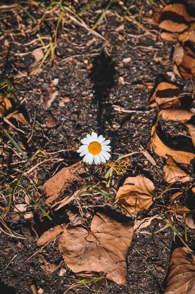Photograph by Елизавета Синицына