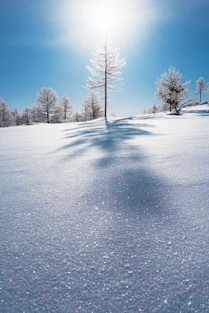 Photograph by Антон Сидоров