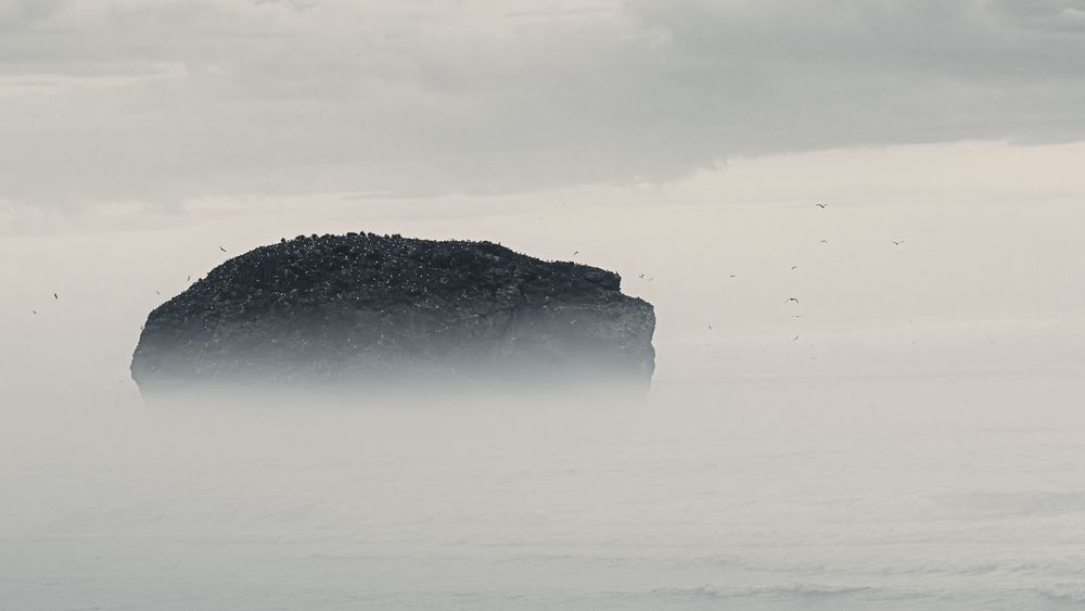 Photograph by Антон Сидоров