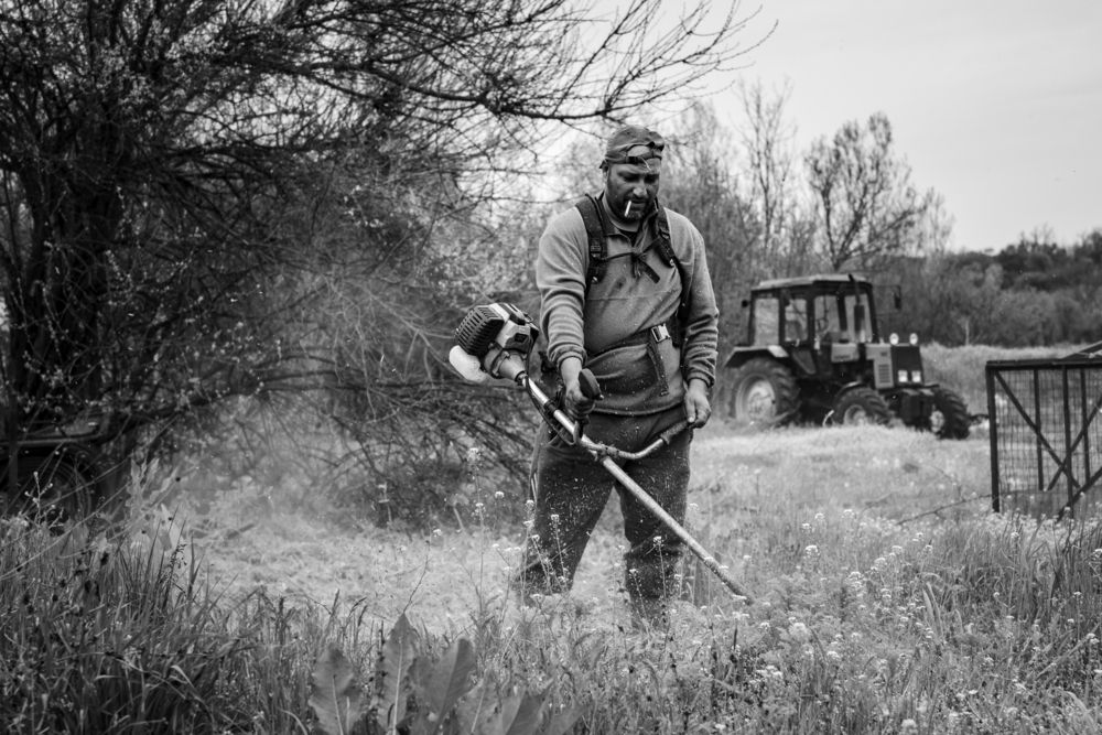 Photo #13650262