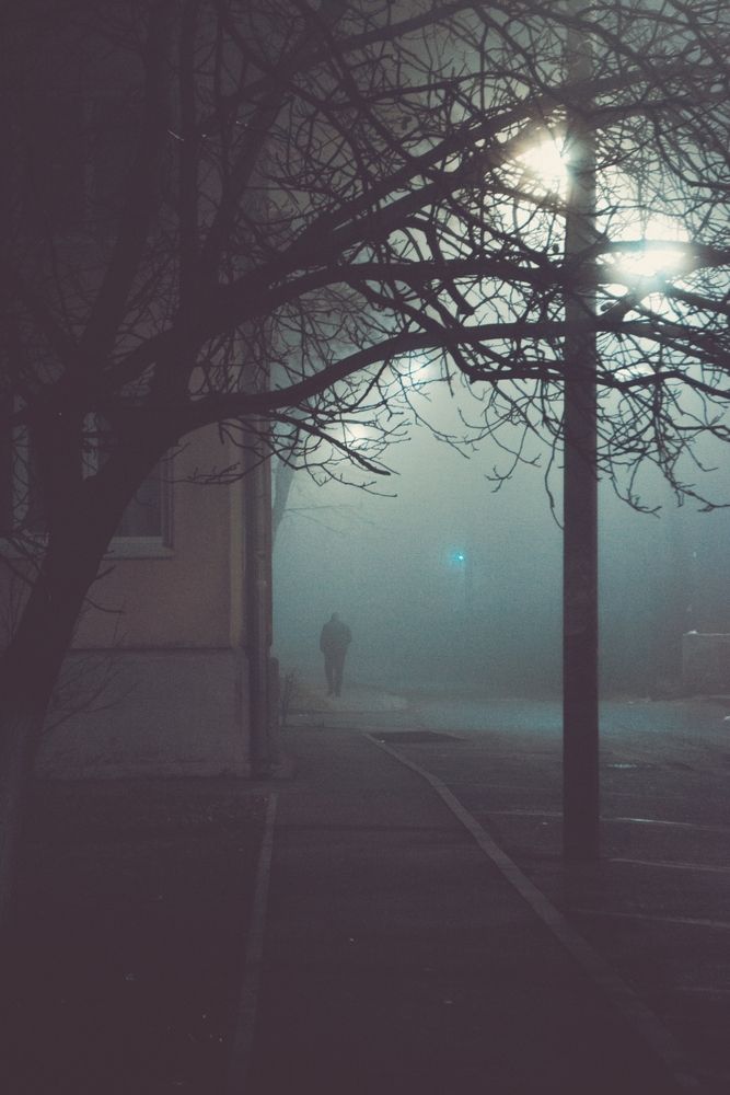 Photograph by Мартынов Константин