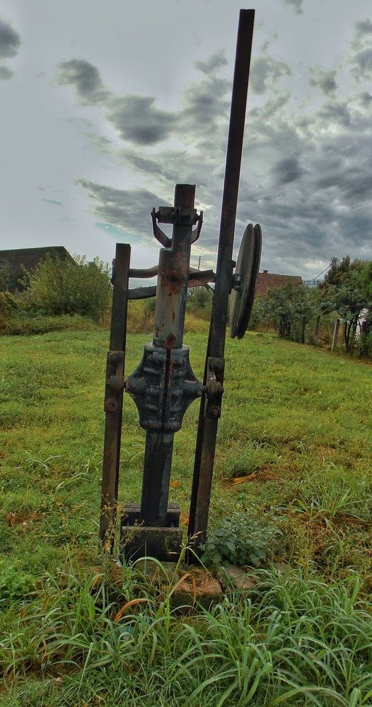 Photograph by Dragoslav Macanović
