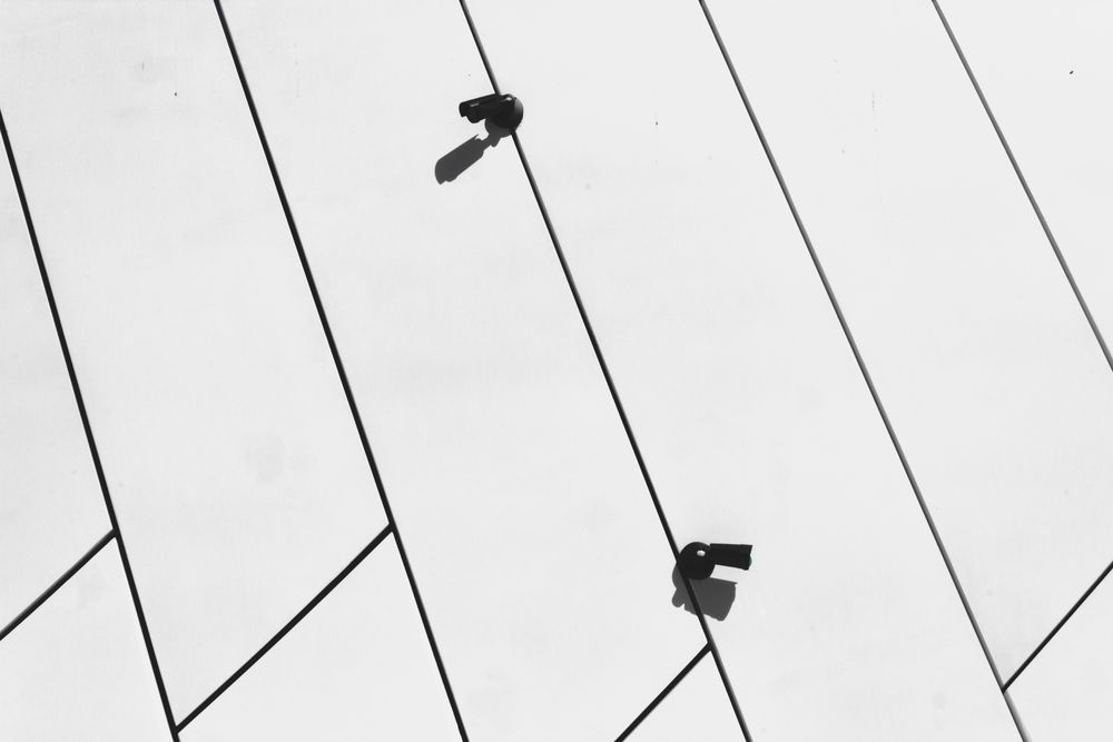 Photograph by Vladyslav Hryhoriev