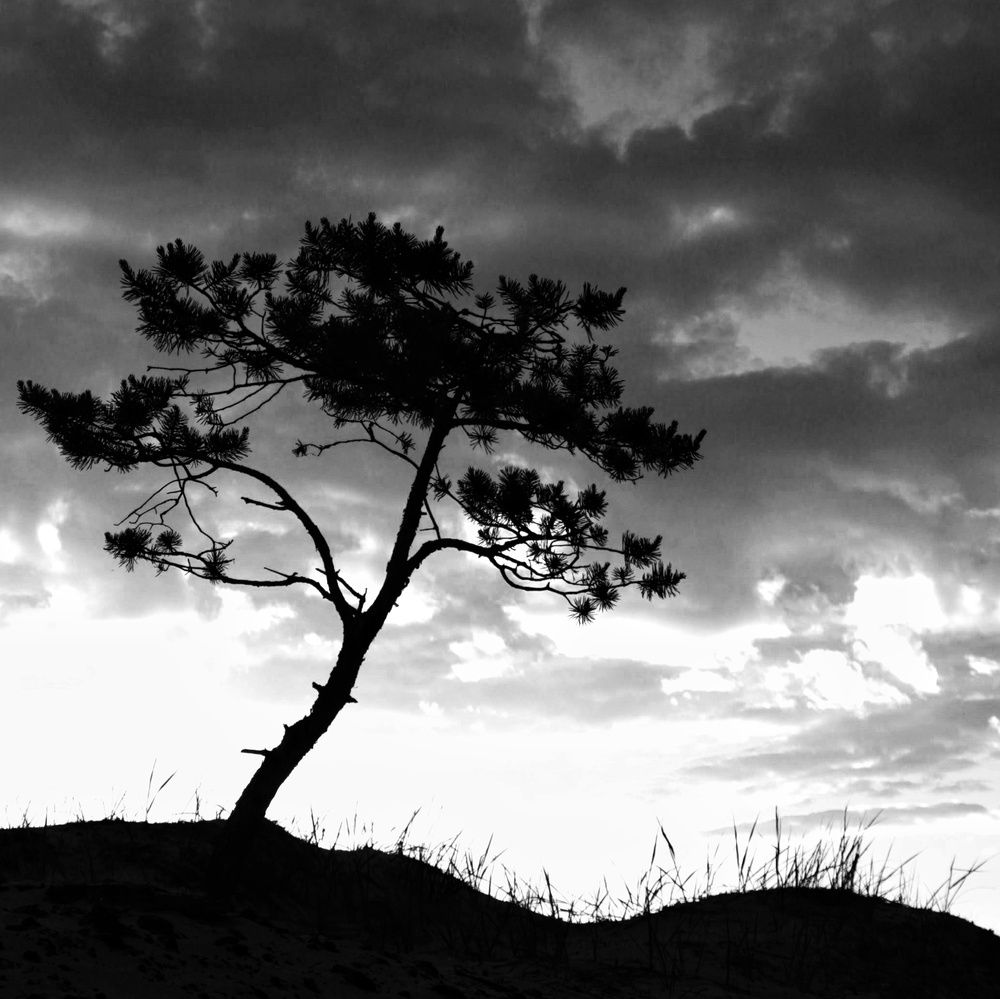 Photograph by Марина Иванникова
