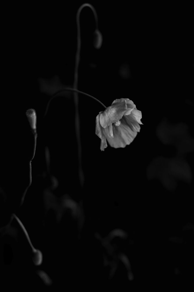Photograph by Марина Иванникова