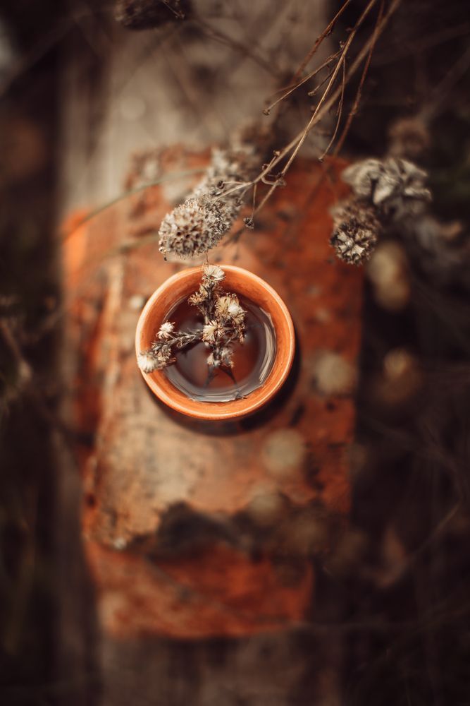 Photograph by Анопченко Ирина