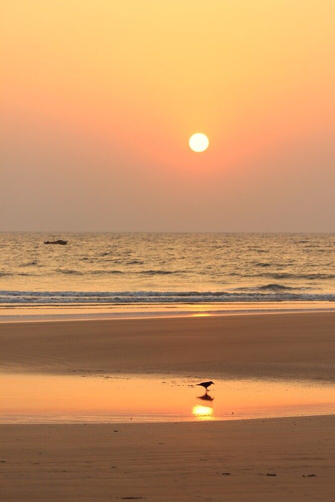 Photograph by Manish K Joshi