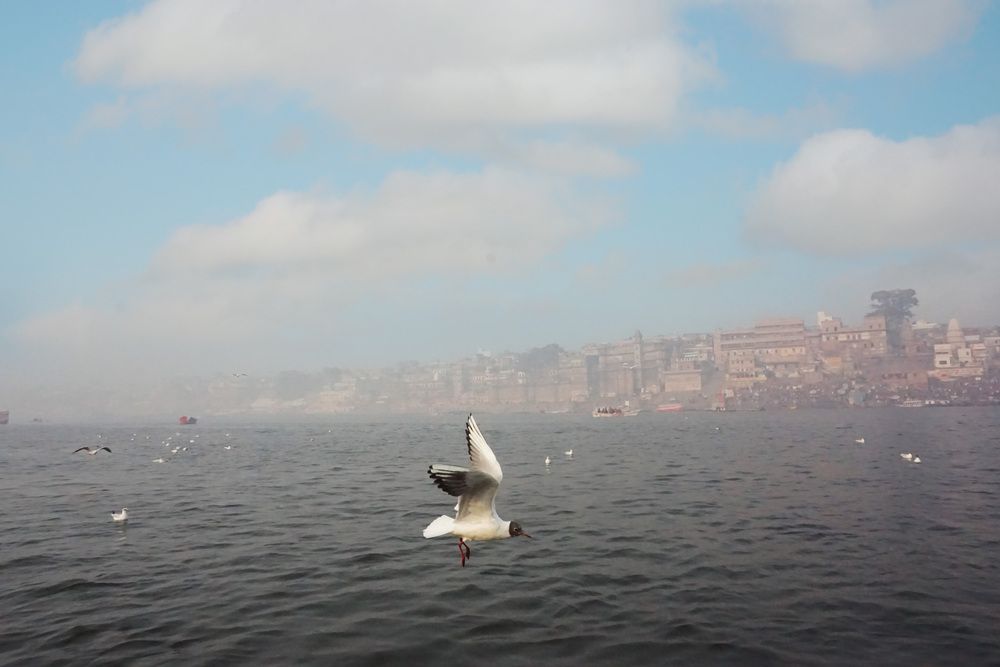 Photograph by Manish K Joshi