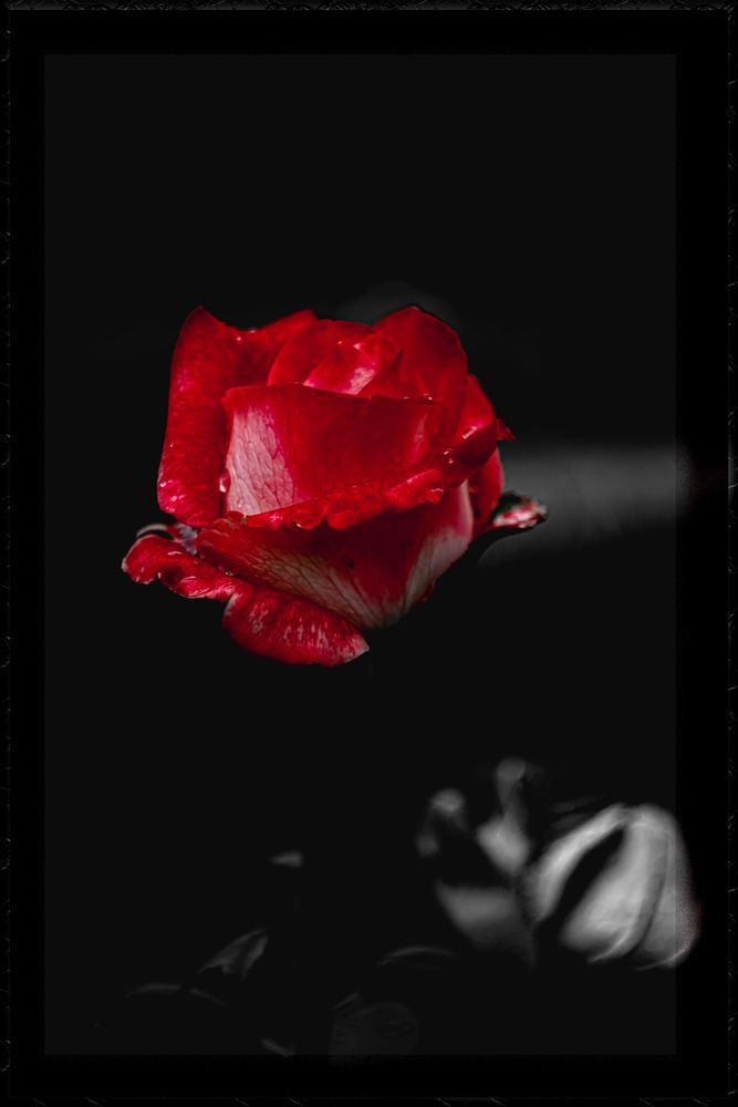 Photograph by Александр Удальчиков