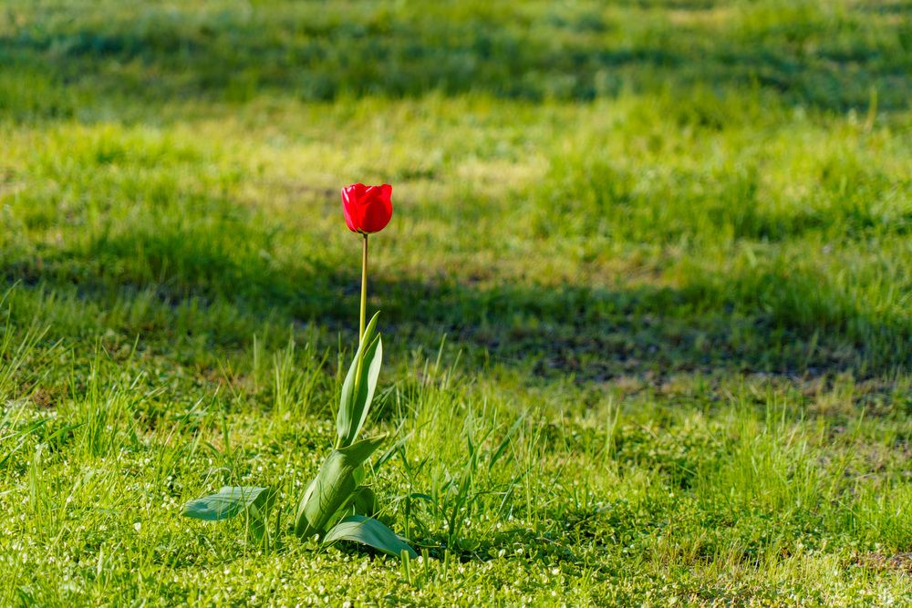Photograph by Владимир Рогулькин