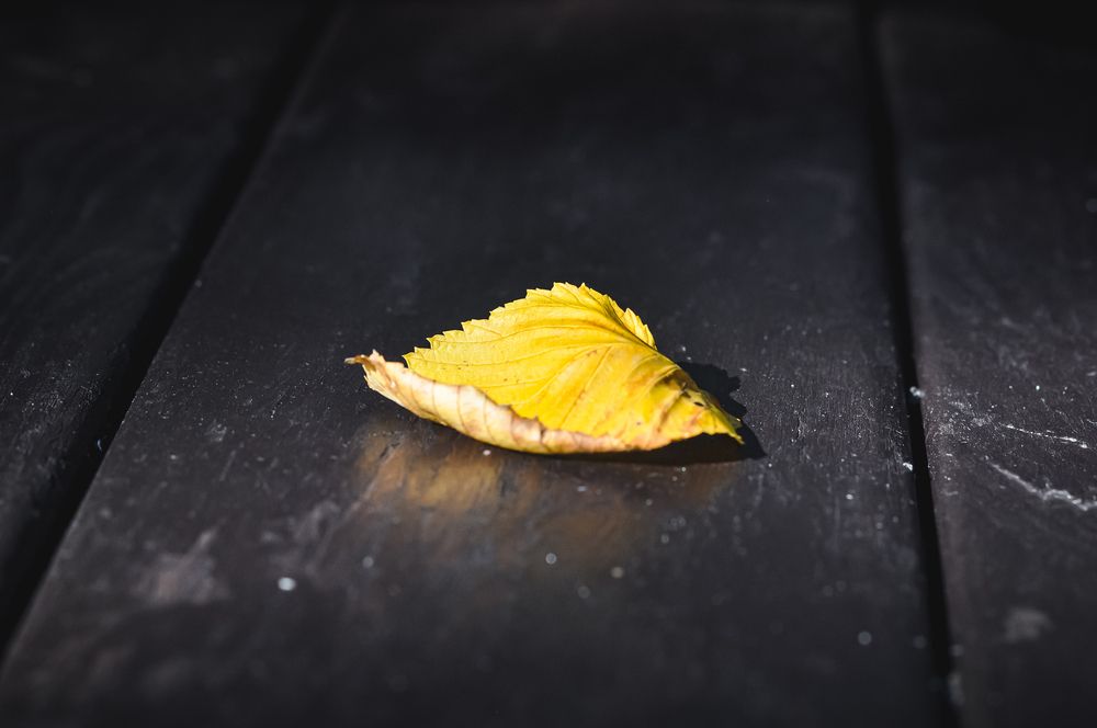 Photograph by Елизавета Синицына