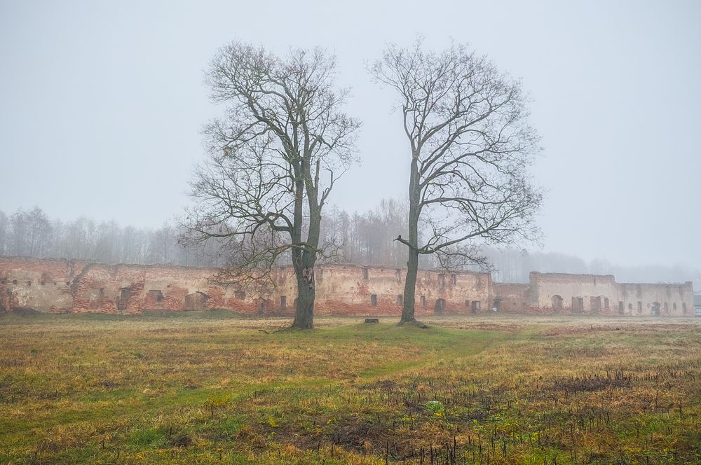 Photograph by Aliaksei Jodko