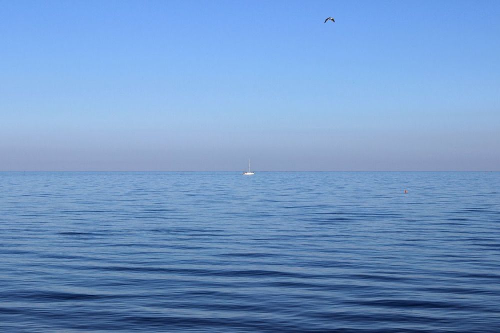 Photograph by Татьяна Пальчикова