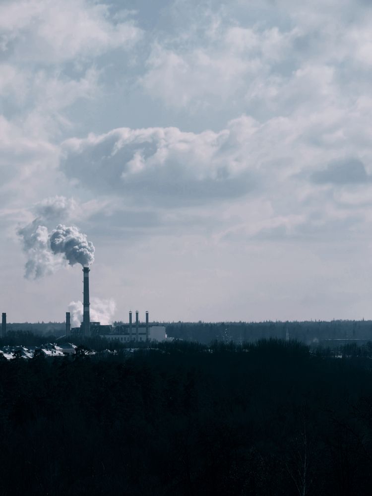 Photograph by Александра Бусарова