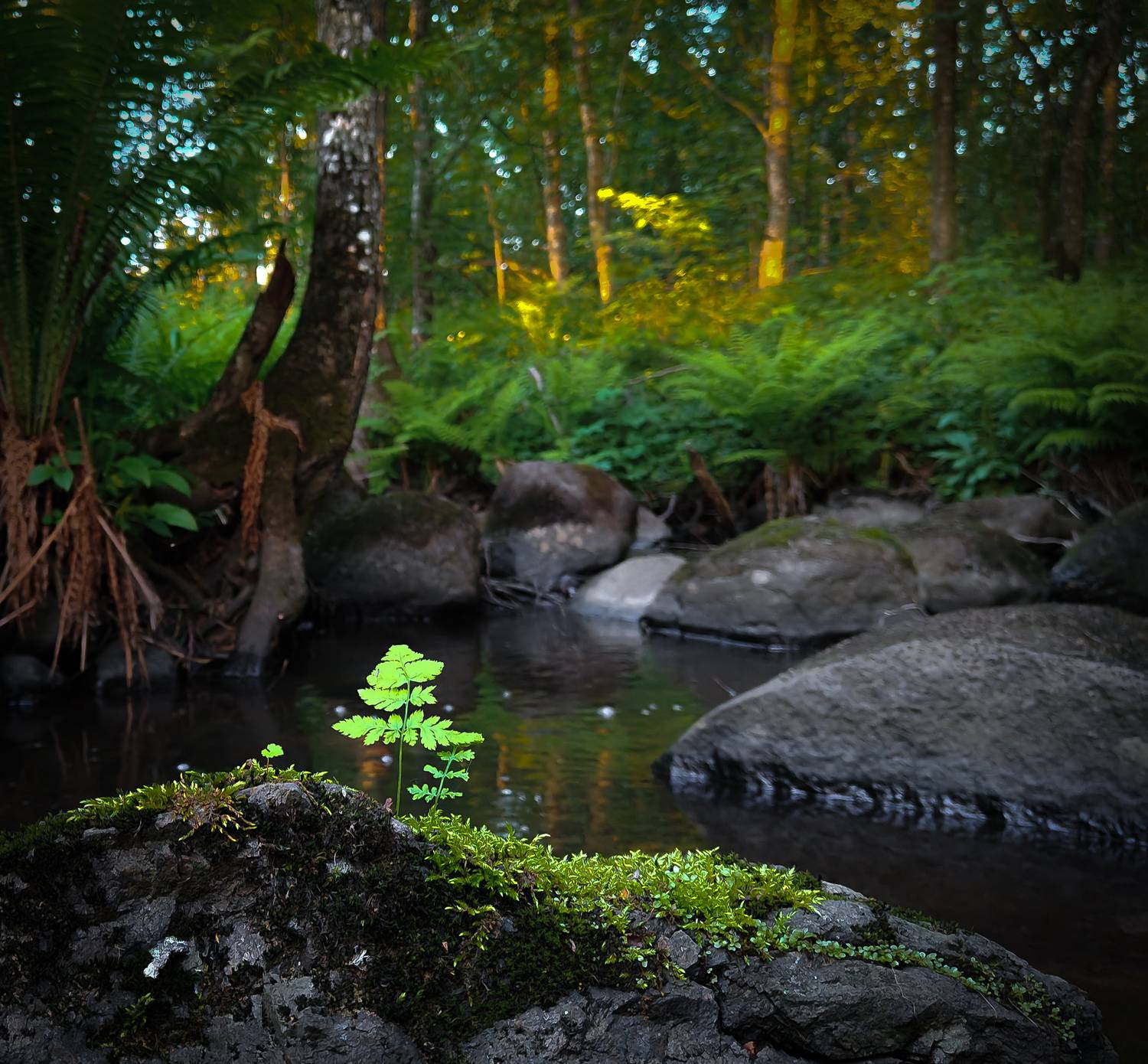 Photo #13650562