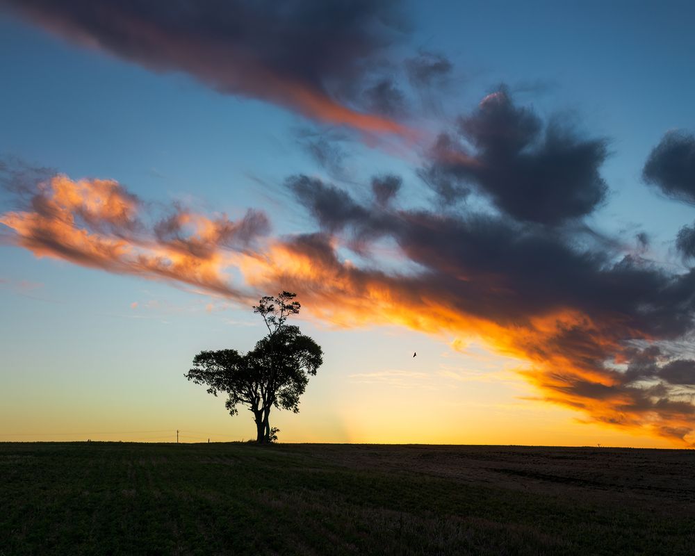 Photograph by Valdir Hobus