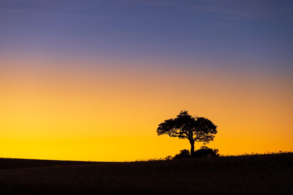 Photograph by Valdir Hobus