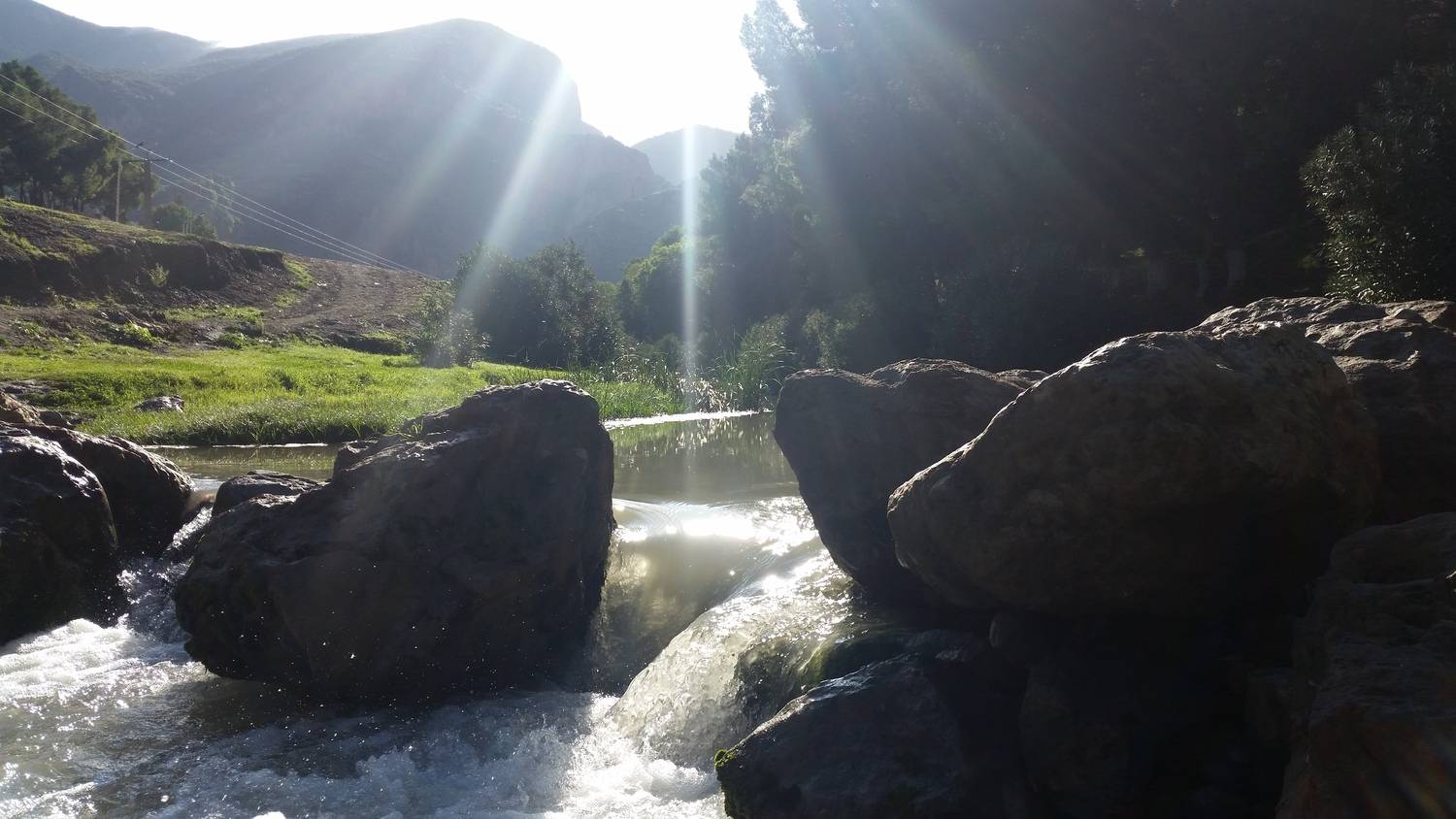 Photo #13650616
