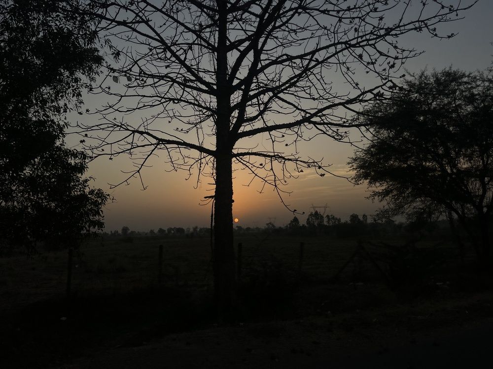 Photograph by Pihu chudasama