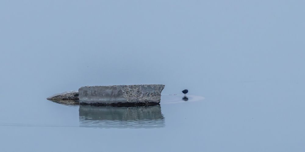 Photograph by Дашима