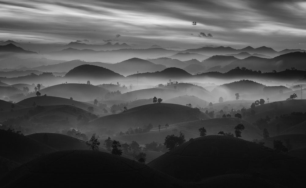 Photograph by Tran Linh
