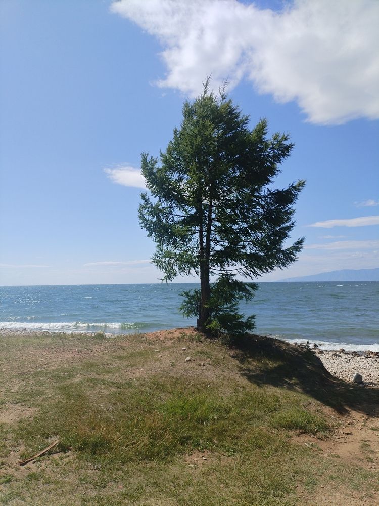 Photograph by Наталья Спешилова