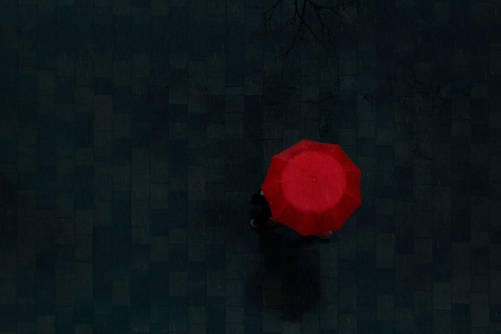 Photograph by Сергей Удовиченко