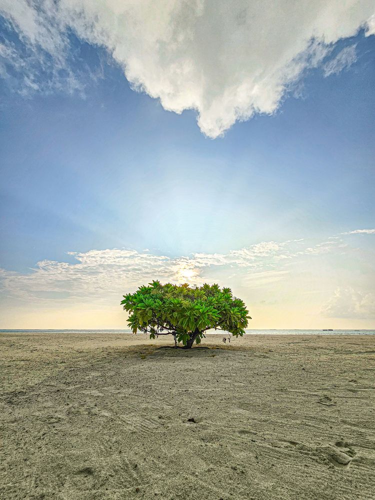 Photograph by Сергей Кесаев