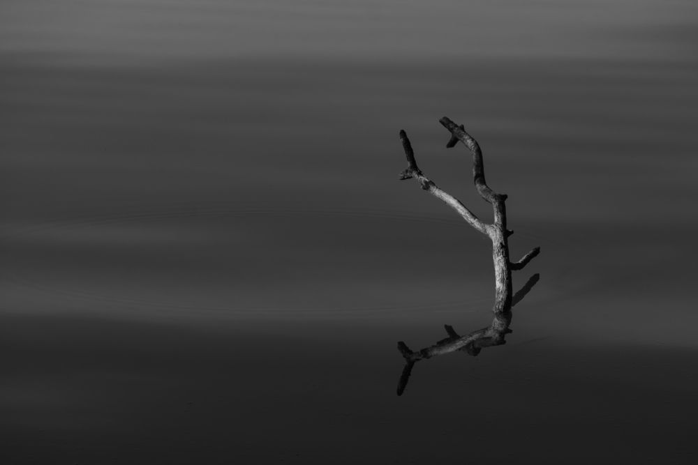 Photograph by Veronika Biró