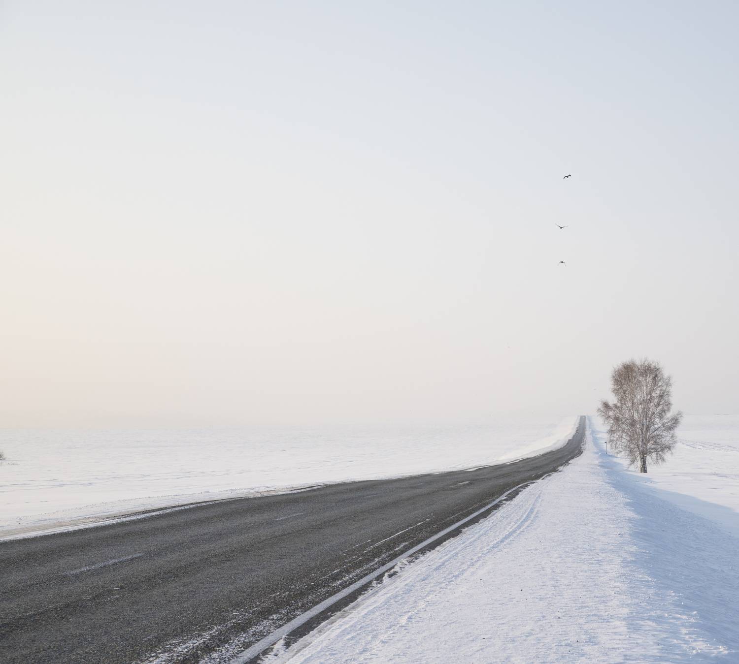 Photo #13650850