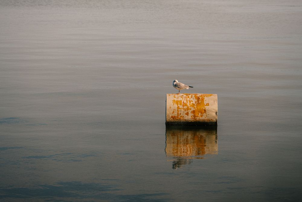 Photograph by Veronika Biró