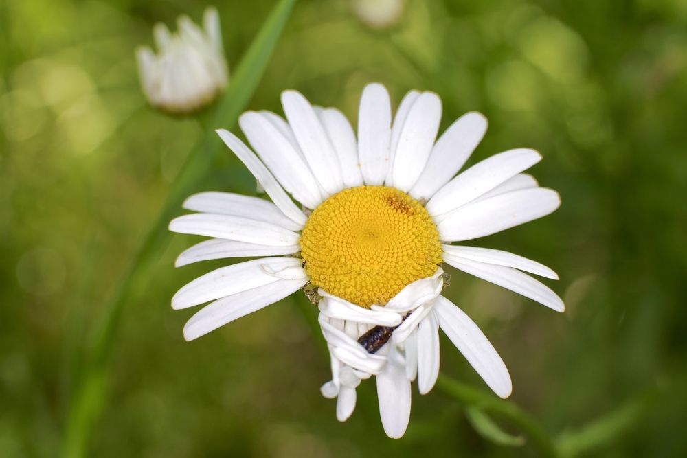 Photograph by Борис Захаров