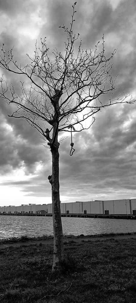 Photograph by Vadym Melnyk