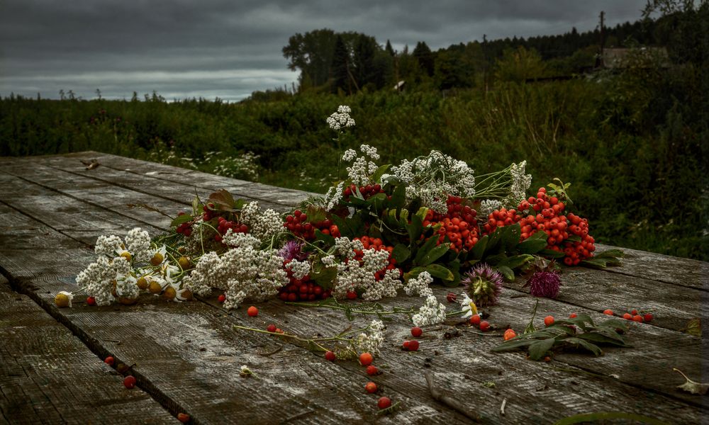 Photograph by сергей поспелов