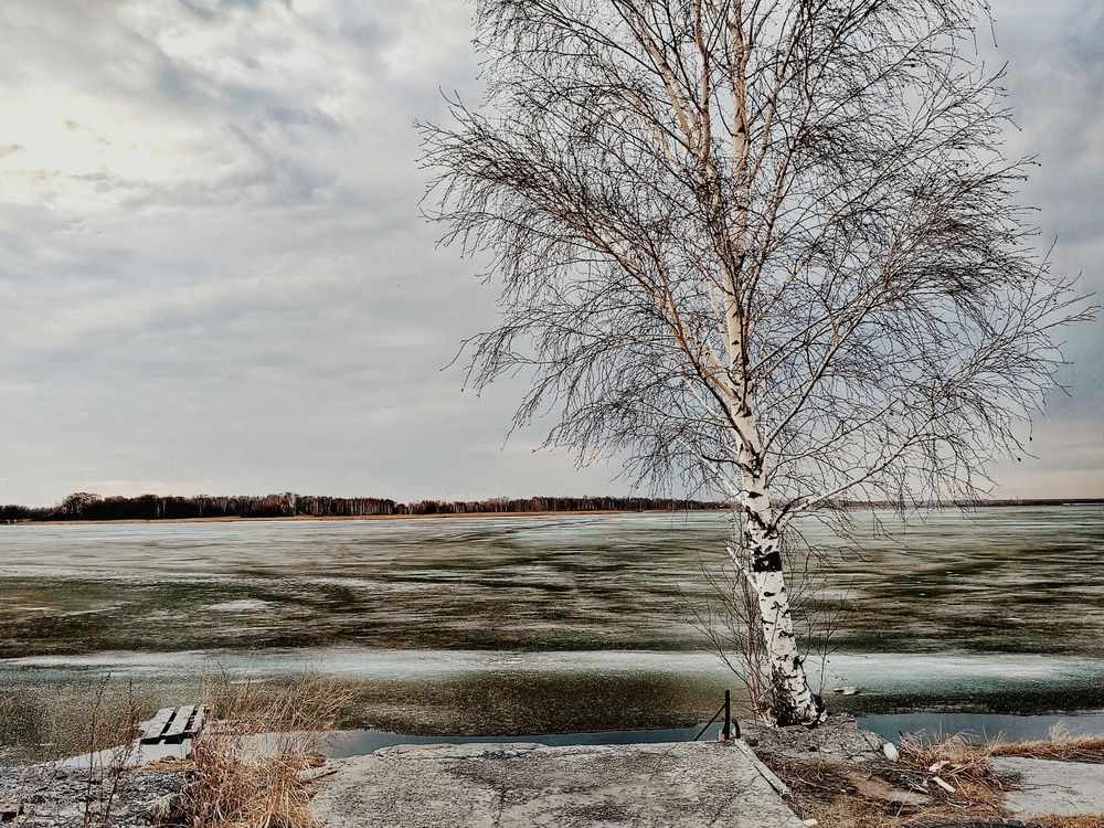 Photograph by Наталья Веряскина
