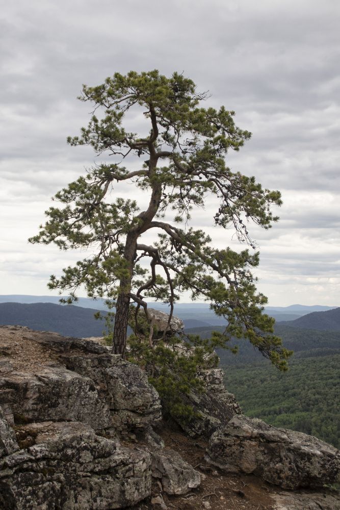 Photo #13650963