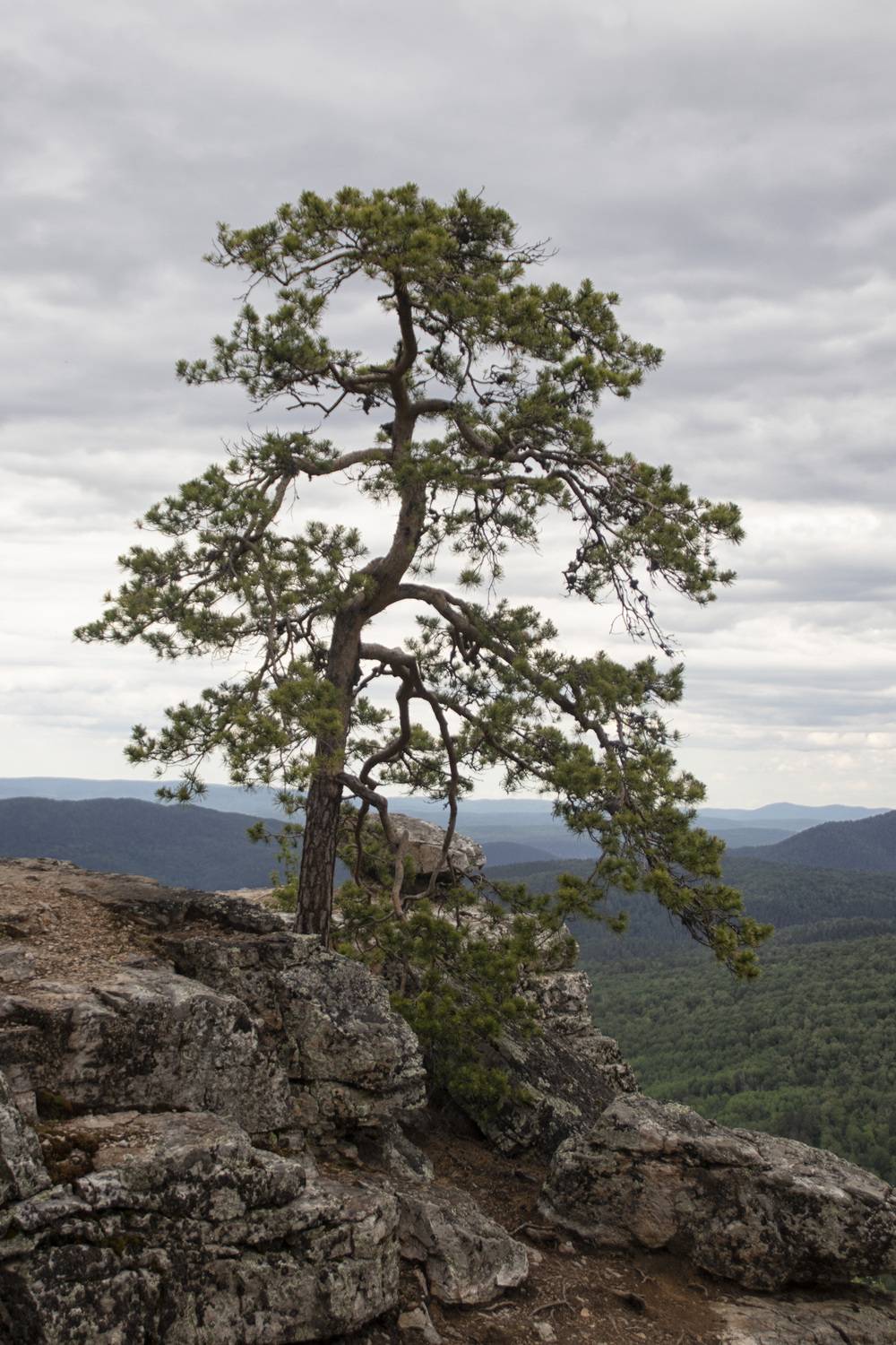 Photo #13650963