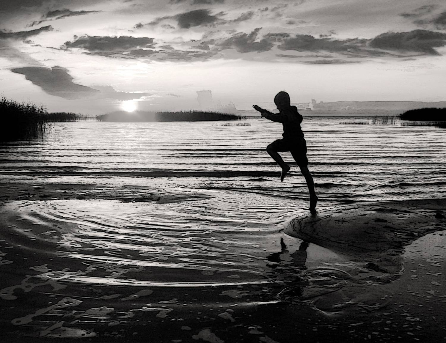 Photo #13650984