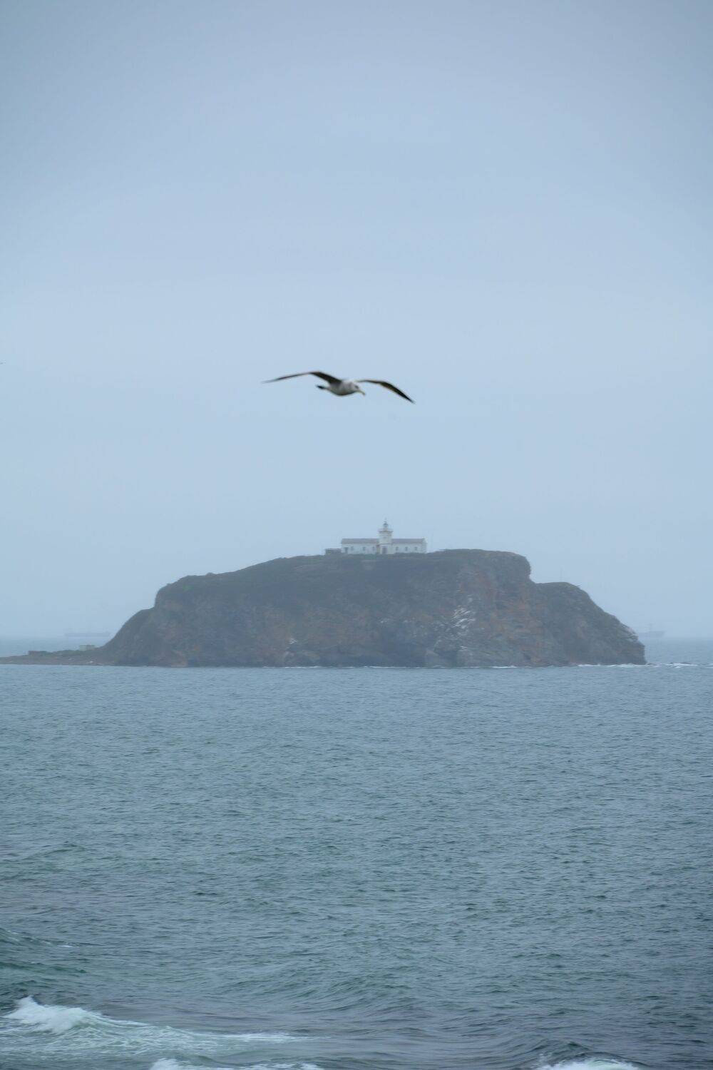 Photo #13651021