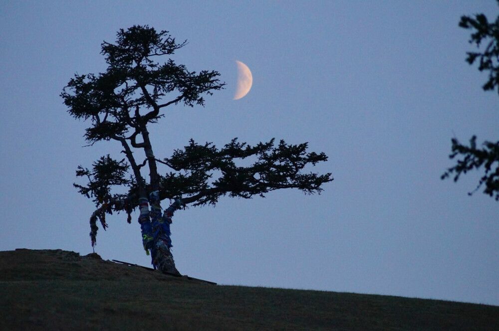 Photograph by Ольга Шангареева