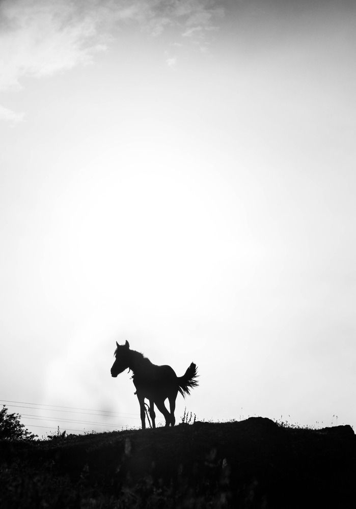 Photograph by Hakan Tunc