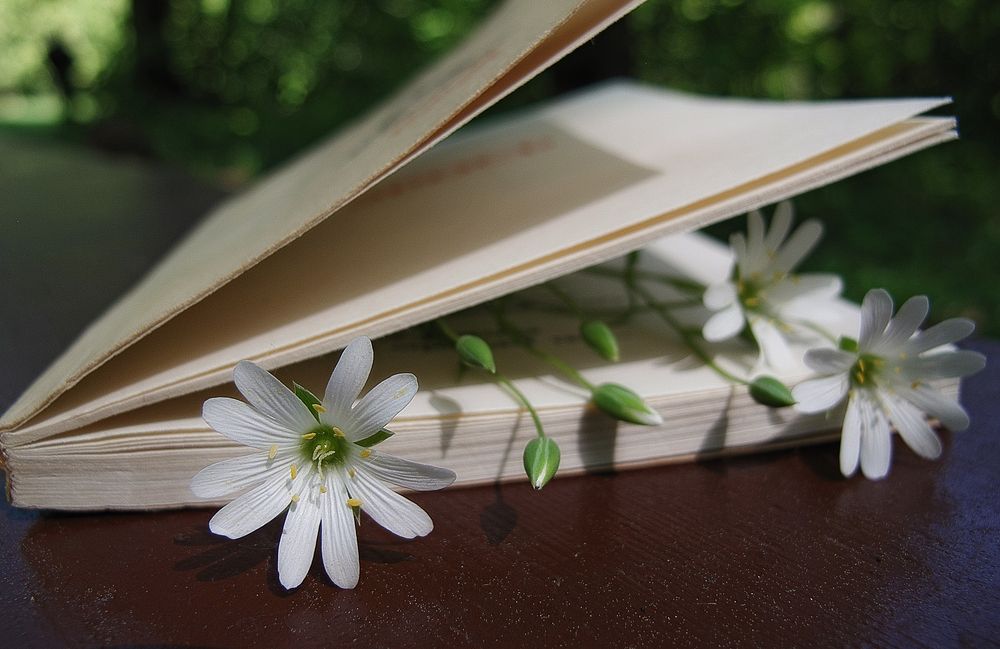 Photograph by ТАТЬЯНА ЗАХАРОВА