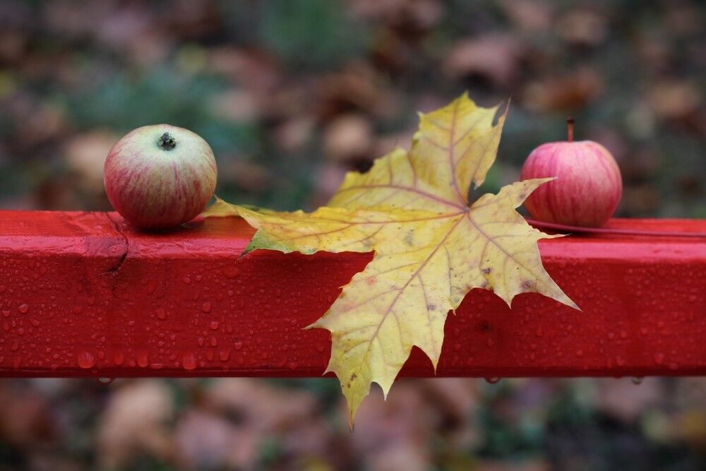 Photograph by Любовь Войводич