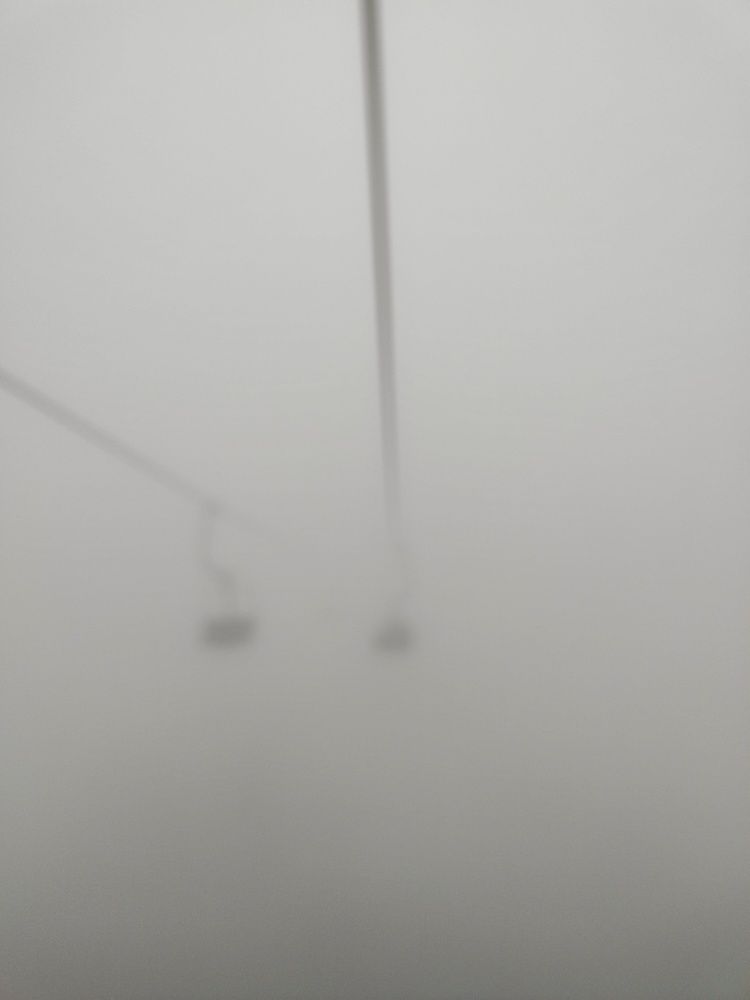 Photograph by Алла Ларина