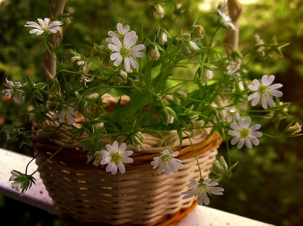 Photograph by ТАТЬЯНА ЗАХАРОВА
